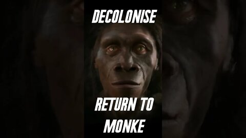 Return to Monke I #decolonize
