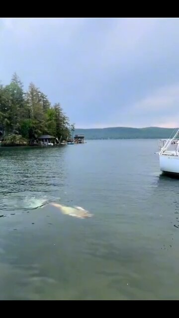 Girl swing on sea……..