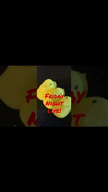 #FridayNightLive #Livestreaming #FNL #Shorts #shortsvideo #shortsfeed