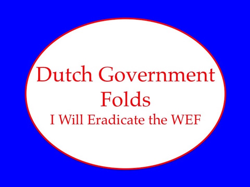 Dutch Government Falls