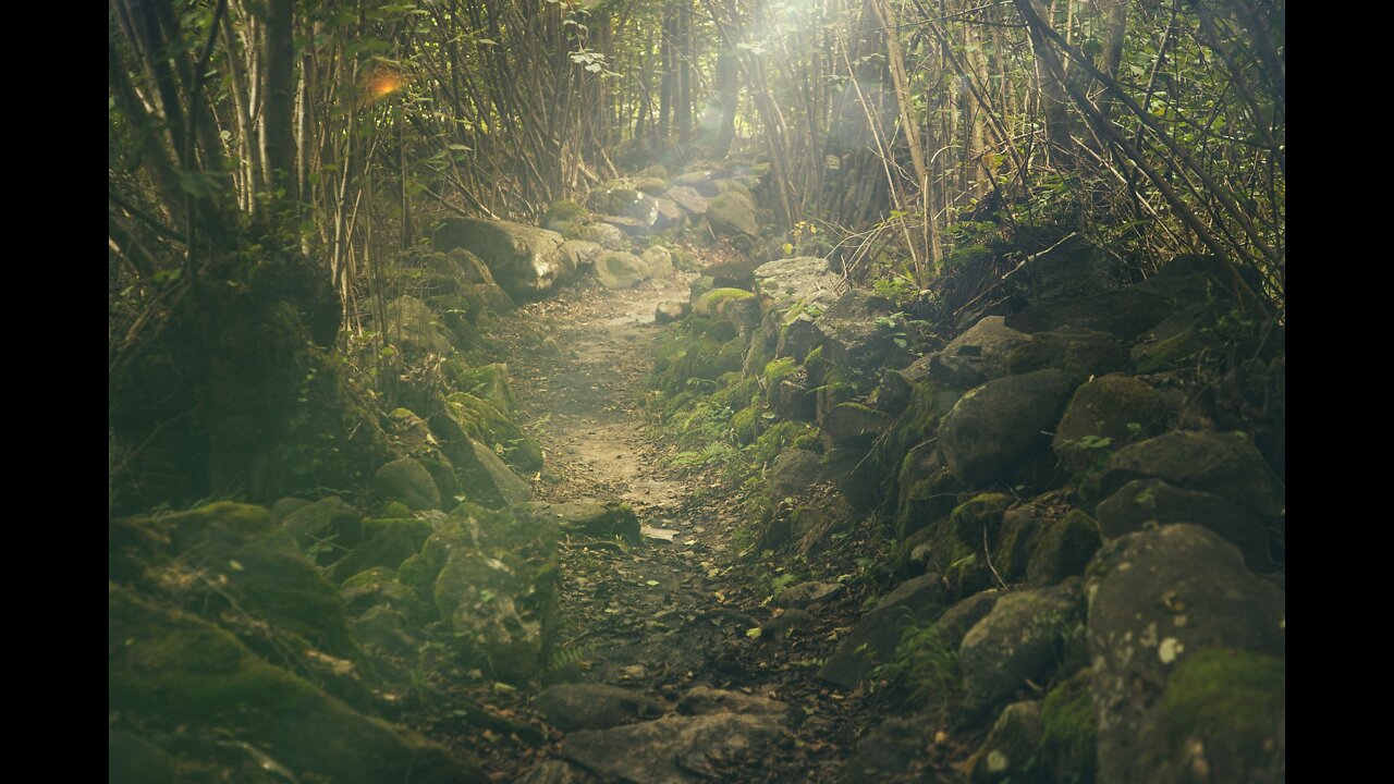 Music for meditation, to relax, to focus and for inner peace! relax music | relaxing music