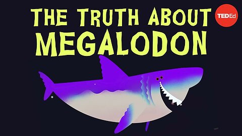 Why did Megalodon go extinct? - Jack Cooper and Catalina Pimiento