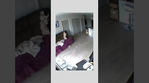 I'm trying to sleep here..🐕🐾🐈💤😂😂