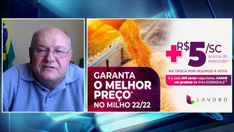 Lavoro na reta final da campanha milho a +R$5,00 em RO e no MT