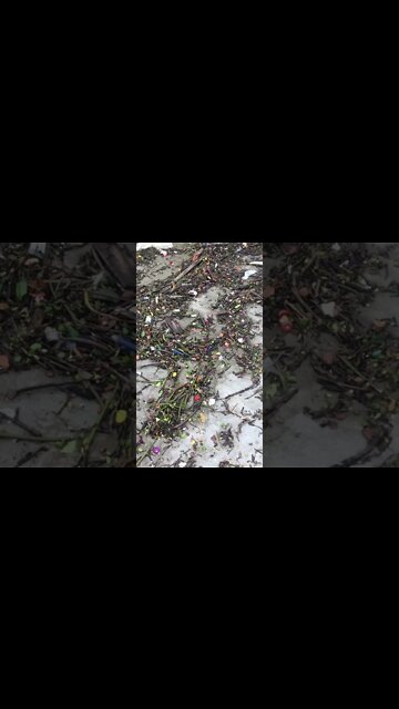 Santos mar devolvendo o lixo que jogam nele