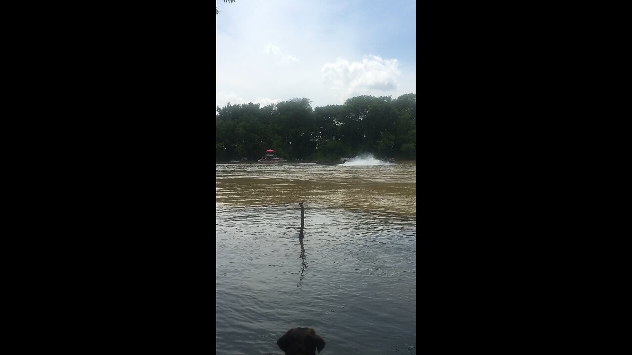 2016 Duck Boat Races Augusta Arkansas