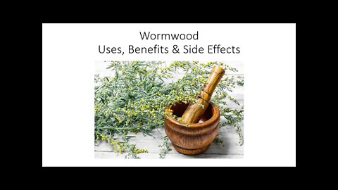 Wormwood - Uses, Benefits & Side Effects