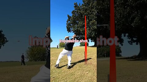 Can I pull off the impossible shot? #golf #viral #shorts