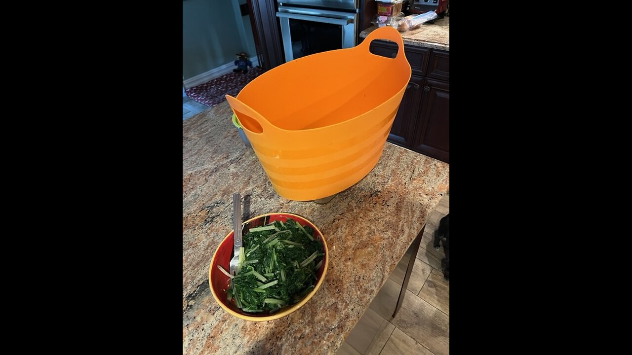 Garden Update 6/14/23 Trump’s Birthday