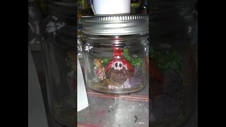 Gnome in a jar with flicker light