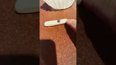 Tiny tiny glass flower, found seaglass hunting