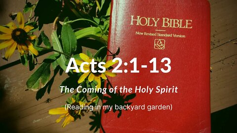 ACTS 2:1-13 (The Coming of the Holy Spirit)