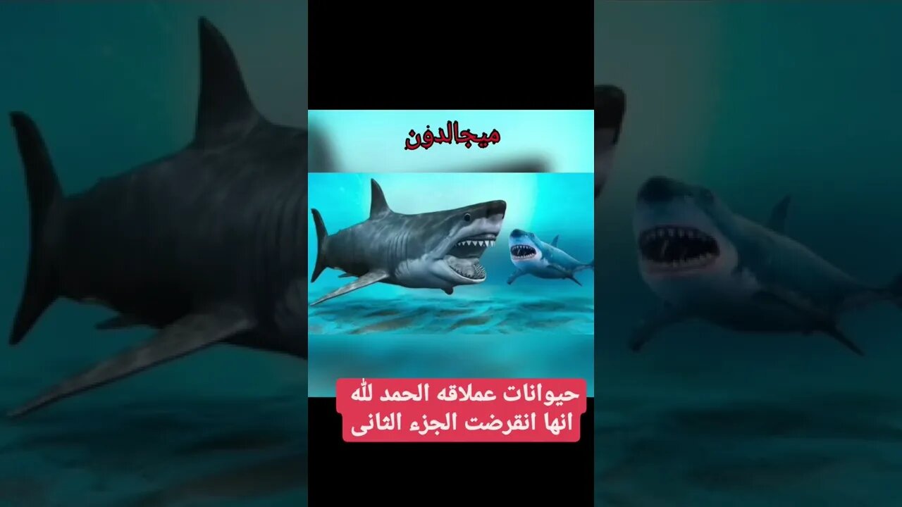 ميجالدون القرش العملاق المنقرض