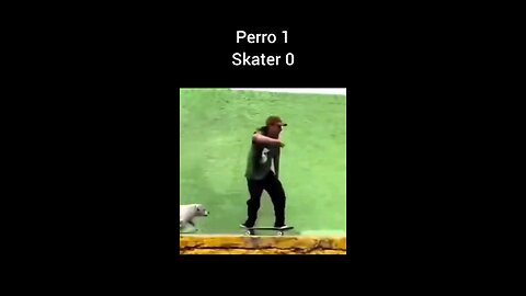 Dog Vs Skater