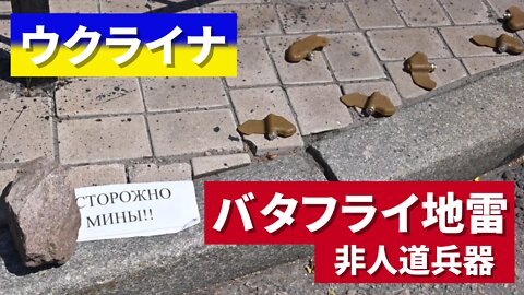 ウクライナのドネツクで対人地雷「バタフライ地雷」使用 PFM-1 Butterfly / Petal Mines Donetsk Ukraine 2022/08/02