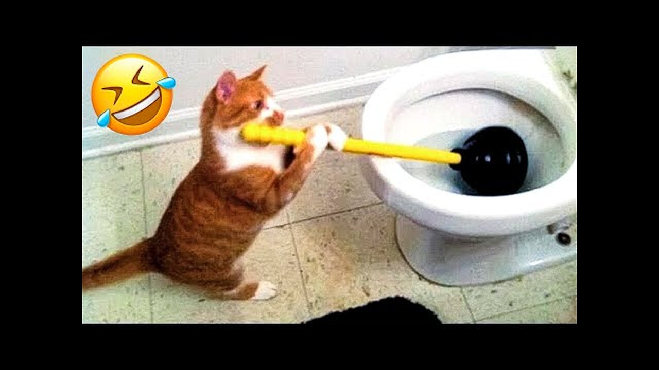 Funniest Cats And Dogs Videos 😅 - Best Funny Animal Videos 2023 😇 #18