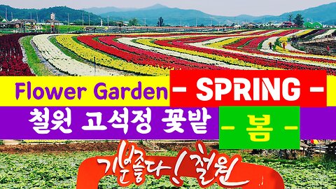 Beautiful Flower Garden in KOREA!