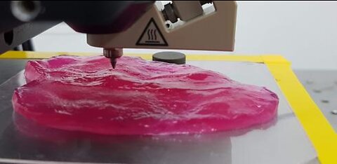 3D Printed Steak!?