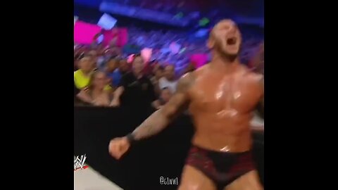 WWF fight