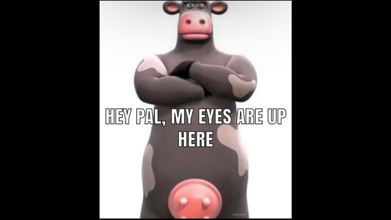 Chaotic Memes 32