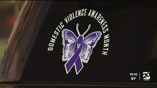 Domestic Violence Walk held in Southfield amid rise in calls