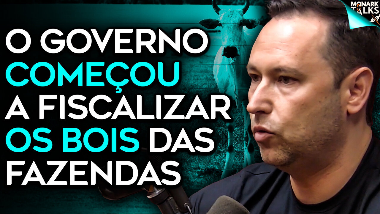 O COLAPSO QUE A ARGENTINA VIVE