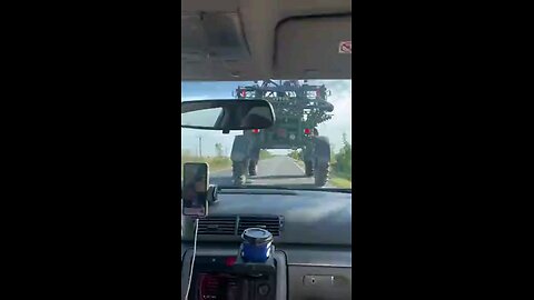 funny videos