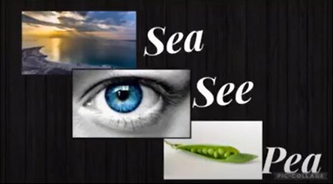 Sea See Pea