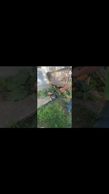 When your Weedwhacker is broken #shorts