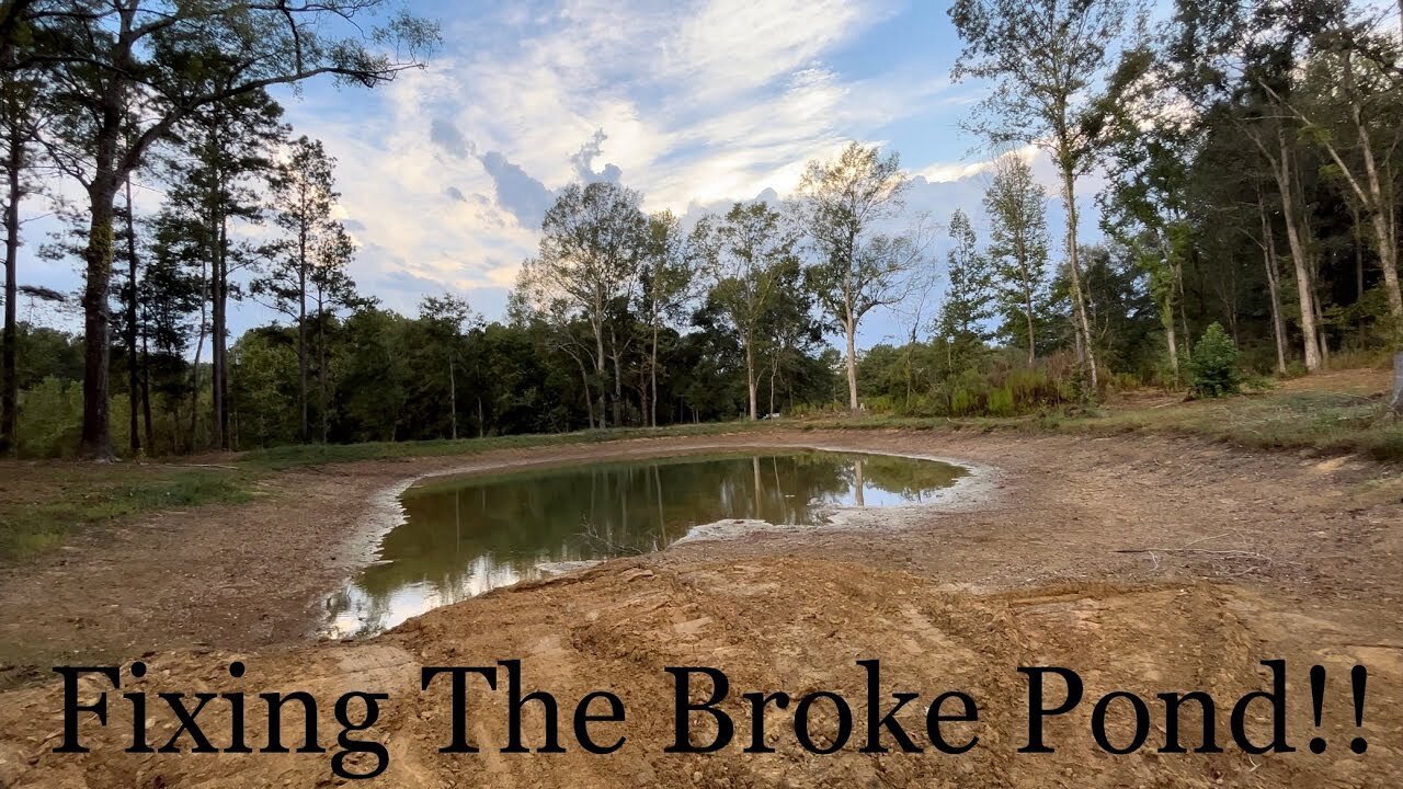 How To Fix The Pond Bank From Washing Out!