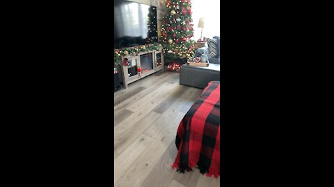 Farm house Style Christmas Decor