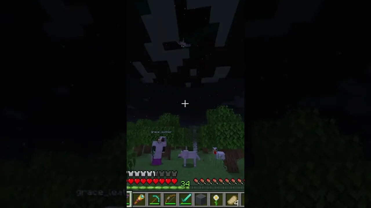 Minecraft 1.19 Survival Realms THE DEEP! New Server Fresh Start Java Edition PC SMP LP TikTok Gaming