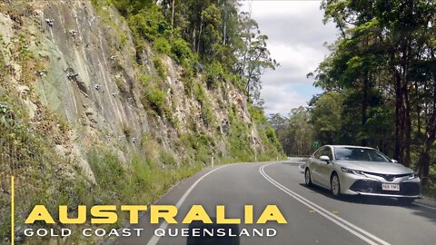 Driving down Springbrook Mountain || Queensland