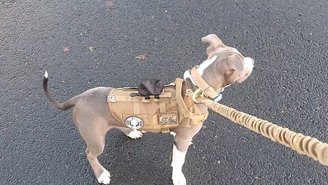 walking thor