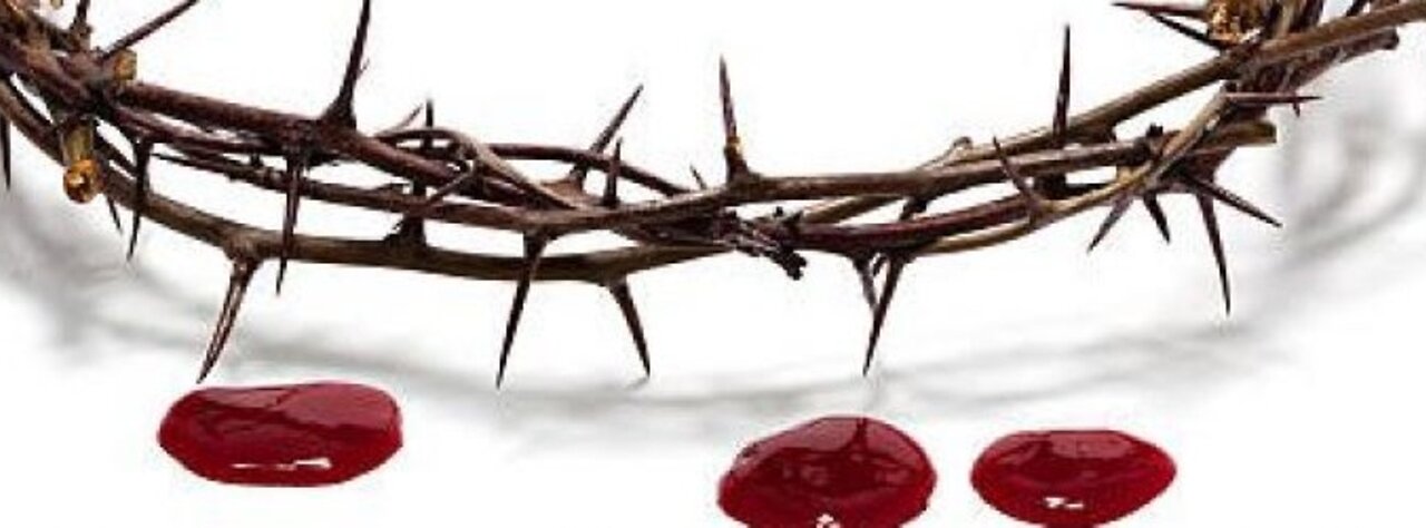 August 20 (Year 2) - What is the "Blood of Christ"? - Tiffany Root & Kirk VandeGuchte