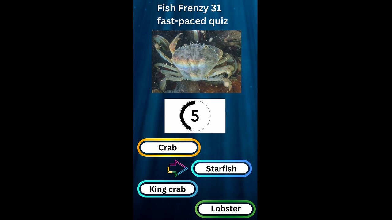 Fish Frenzy 31 A fast-paced quiz