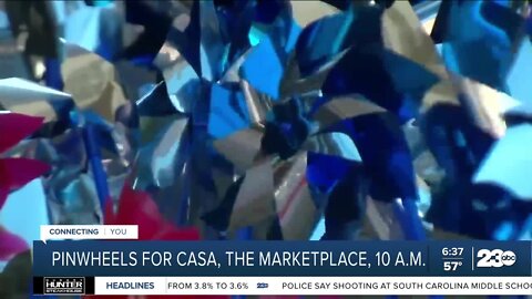Pinwheels for CASA at The Marketplace
