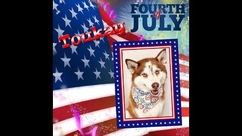 My Husky, My Best Friend - Independence Day 2022