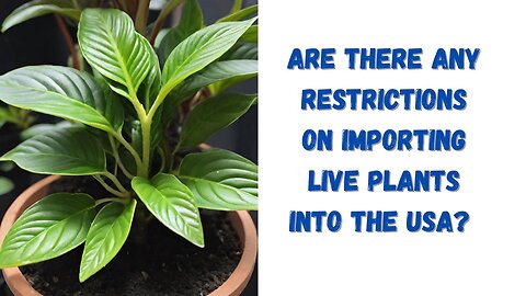 Are There Any Restrictions On Importing Live Plants Into The USA