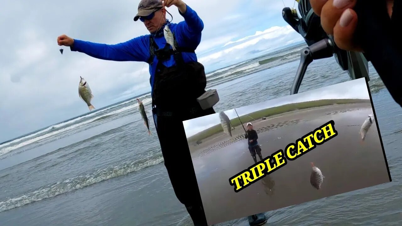 Surf Perch Triple Catch Del Rey Beach, Oregon Coast