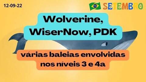 Várias baleias envolvidas nos níveis 3 e 4A