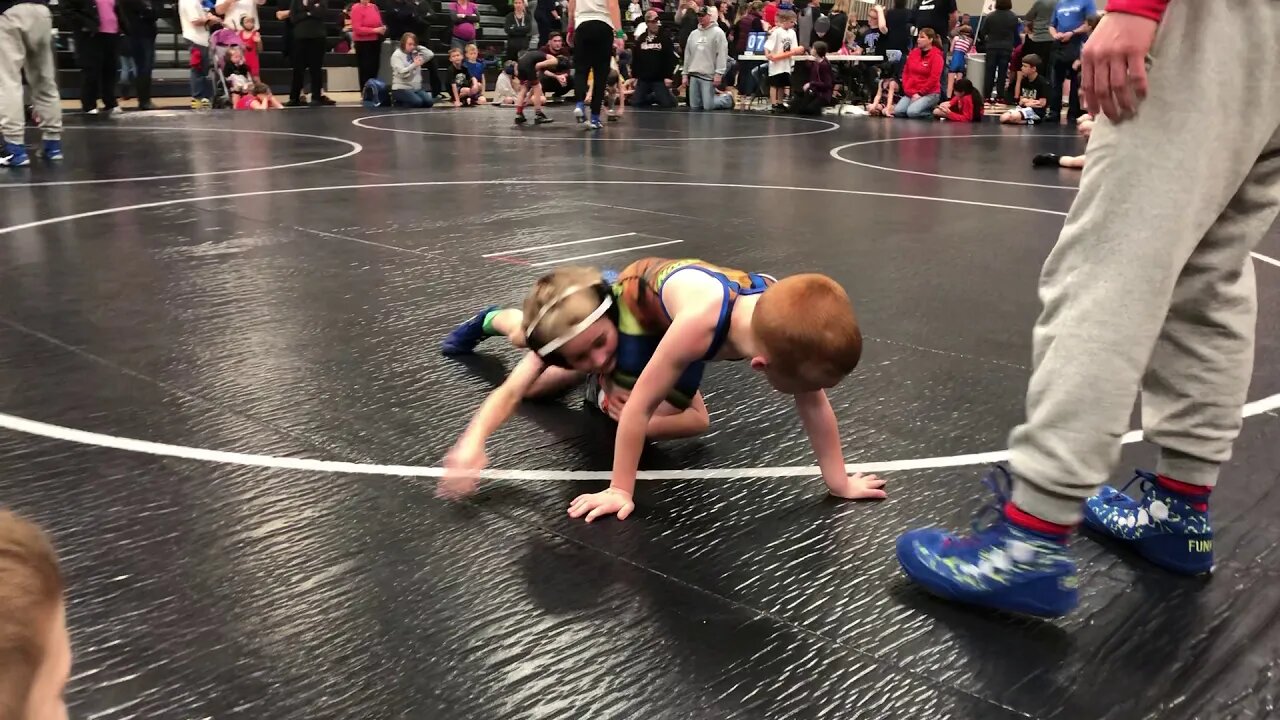 Charlie at Rogers #2 2019