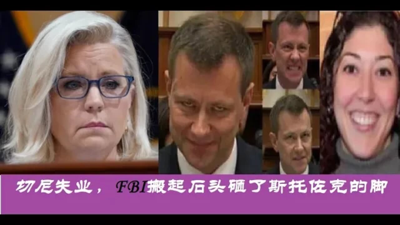 利兹切尼失业,FBI搬起石头砸了斯托佐克的脚 - 20220817