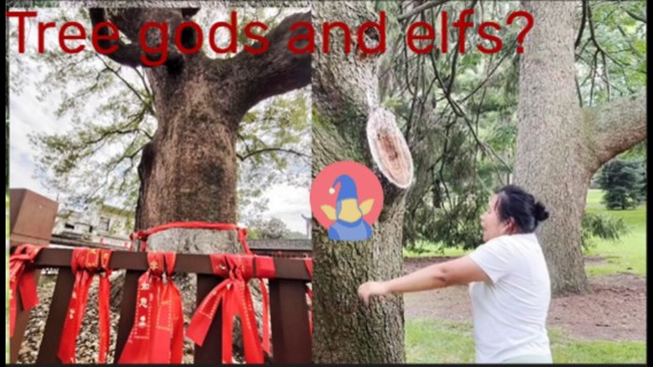 Journey to the Sacred Tree: Exploring China's Tree God Tradition 🌳🙏