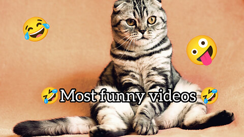 😂Most funny video 🤣|😂best animals moments😂|