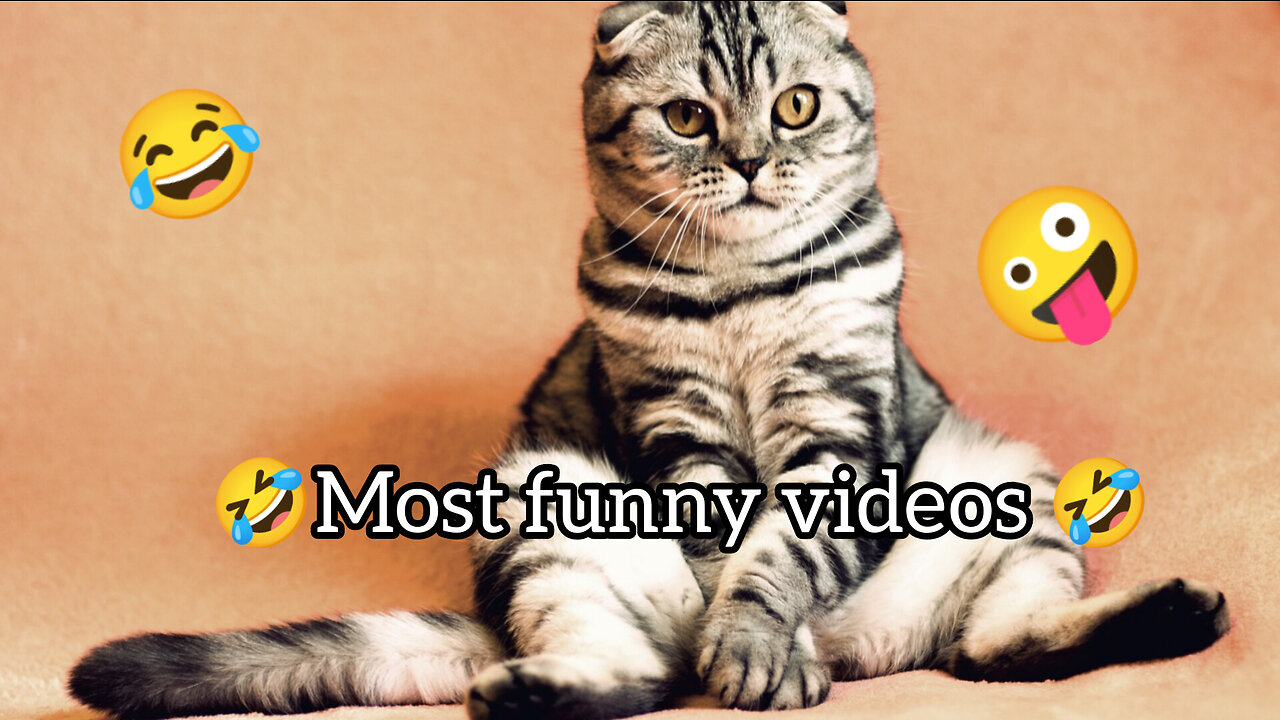 😂Most funny video 🤣|😂best animals moments😂|