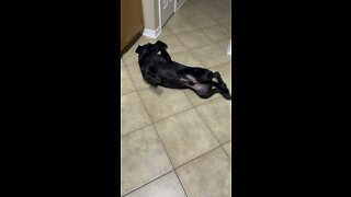 He said he know how to dance