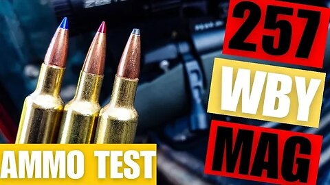 .257 WBY MAG - AMMO TEST