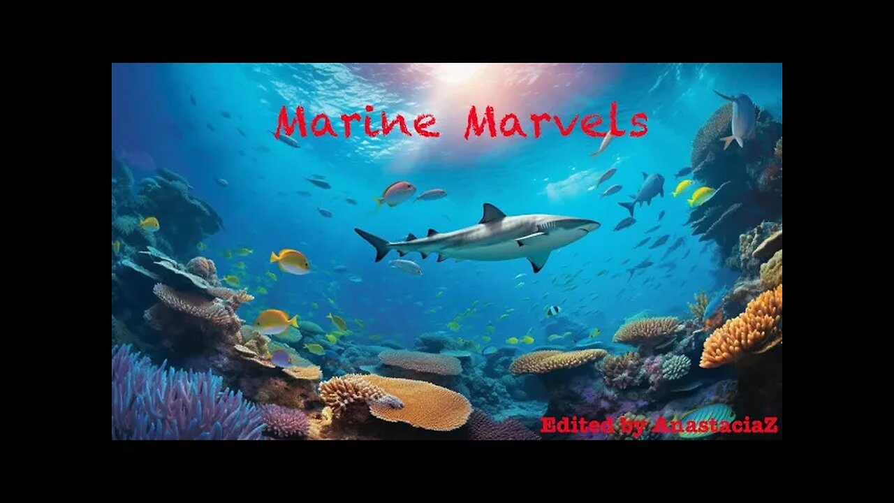 Bedtime stories for Children, about the Ocean "Marine Marvels" (story 15)