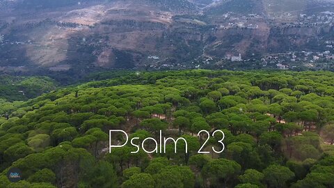 Meditate on Psalm 23 - Daily Inspiration